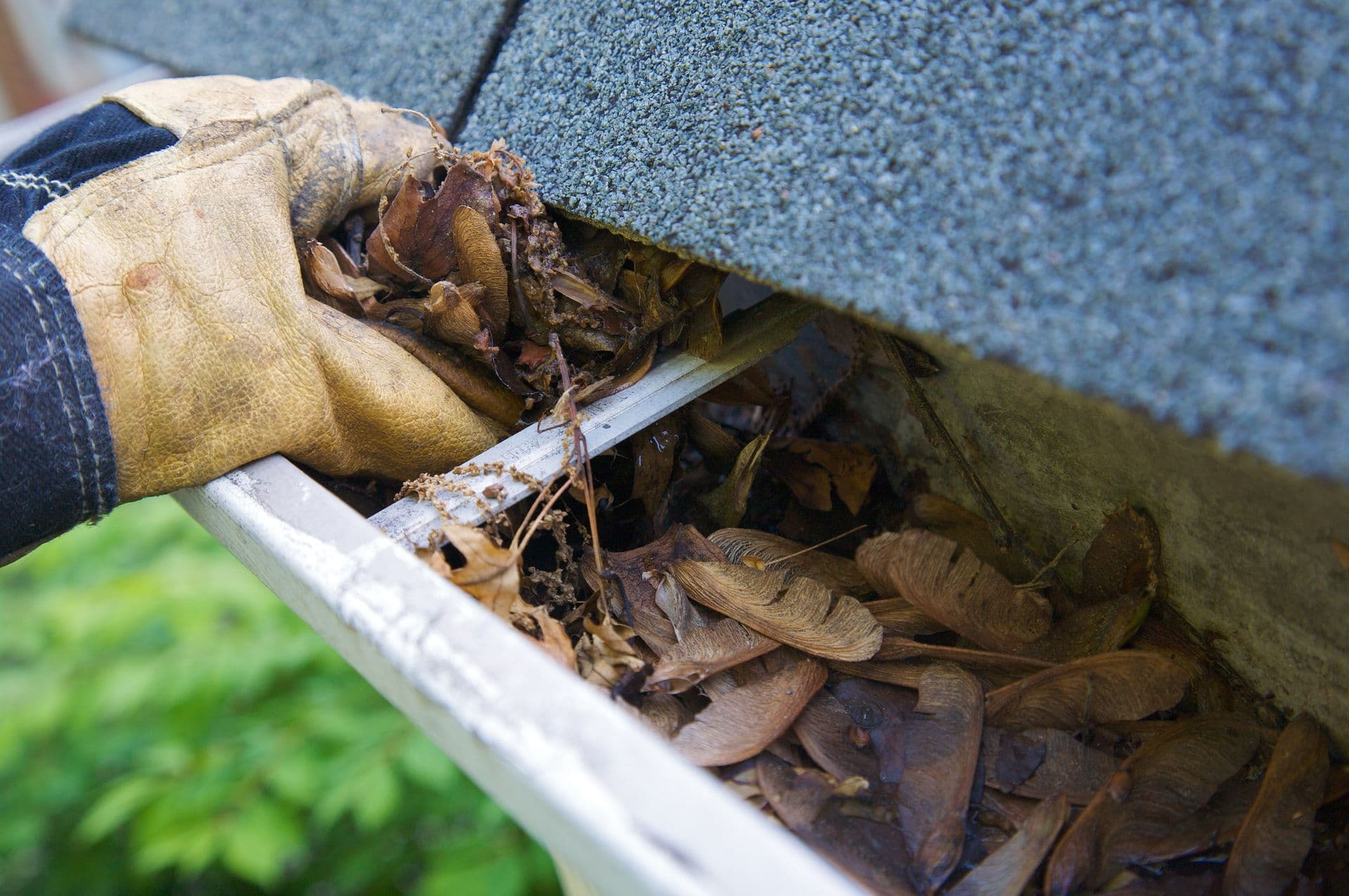 man pulling leaves out of a gutter