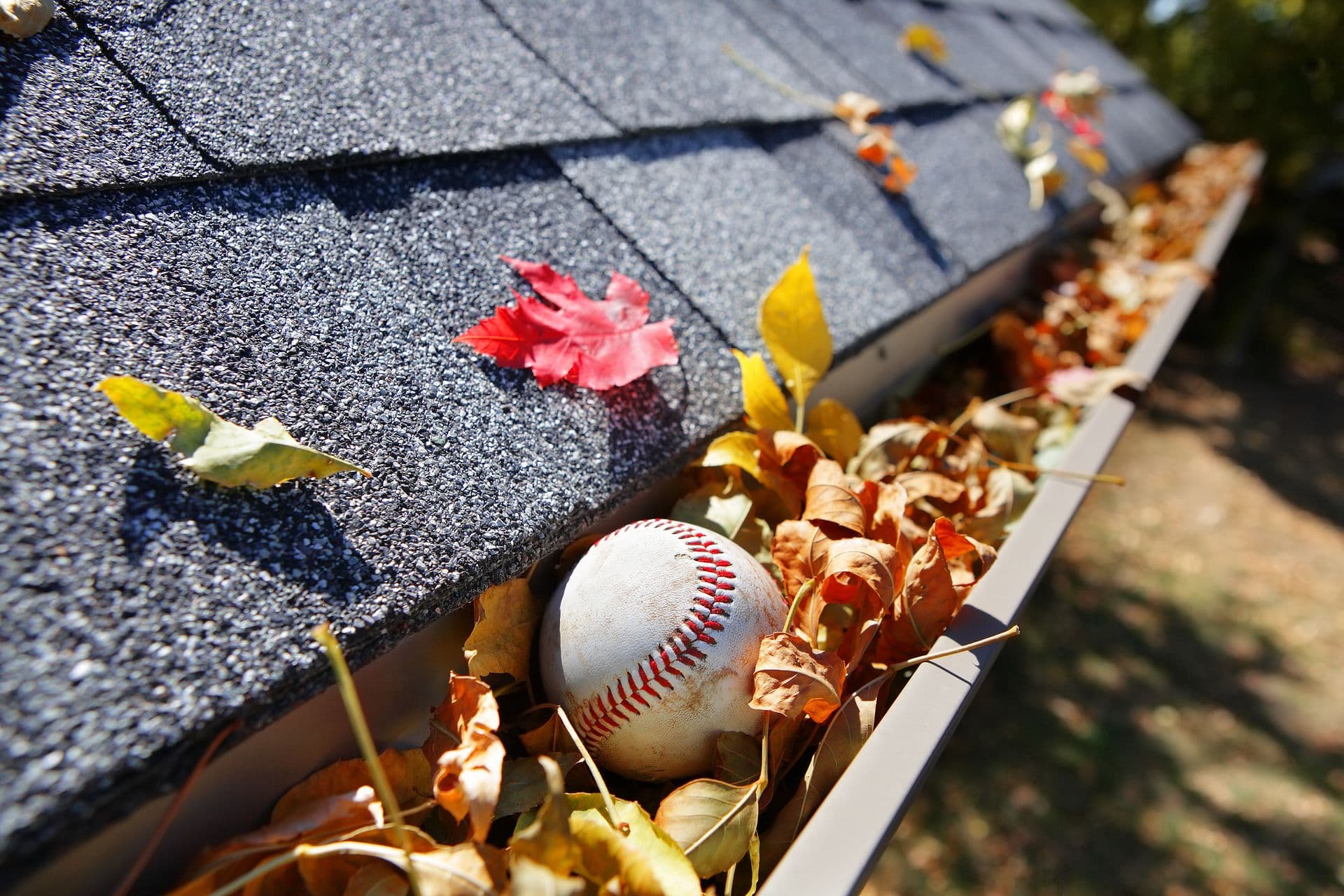 Leaves and a baseball in the gutter