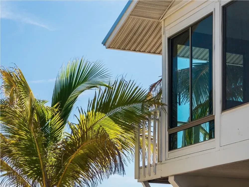 Turtle glass windows